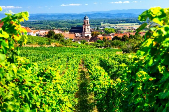 Tourisme vinicole et viticole Flagey-Echézeaux