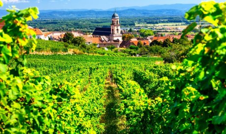 Tourisme vinicole et viticole Flagey-Echézeaux